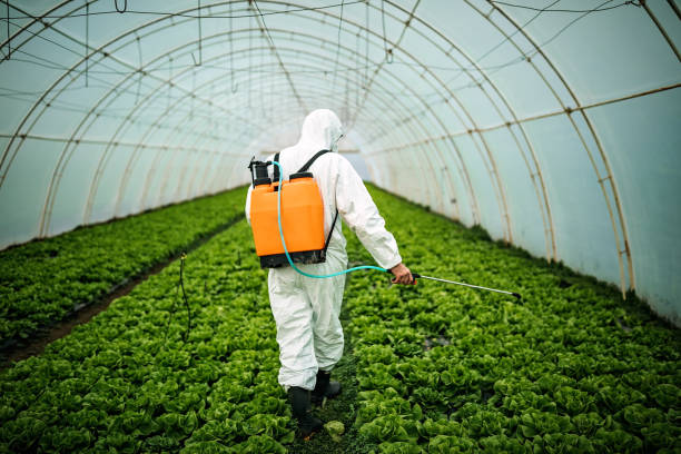 Best Affordable Pest Control Services  in Yonkers, NY