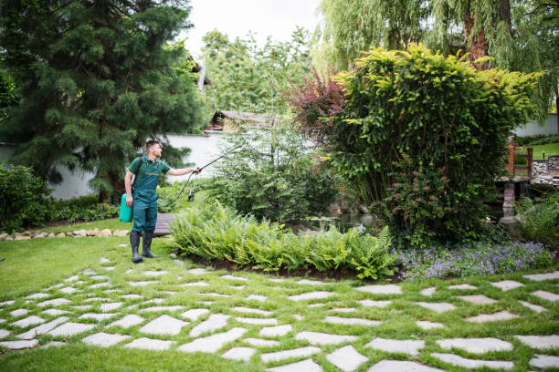Best Pest Removal Services  in Yonkers, NY