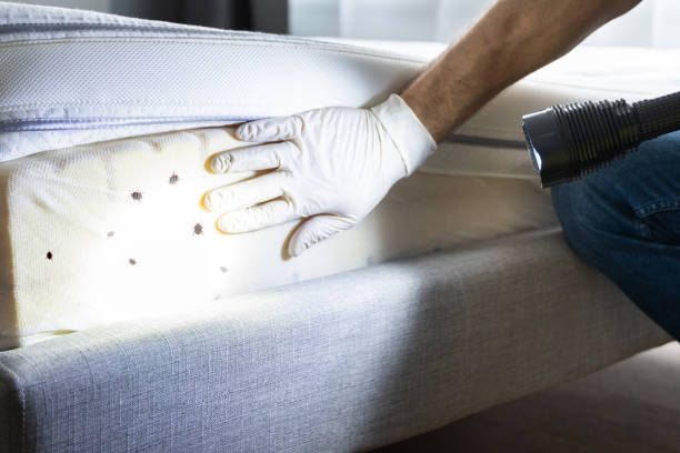 Best Pest Prevention Services  in Yonkers, NY